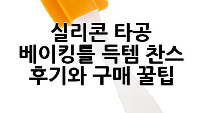 실리콘 타공 베이킹틀: 득템 찬스! 후기와 구매 꿀팁
