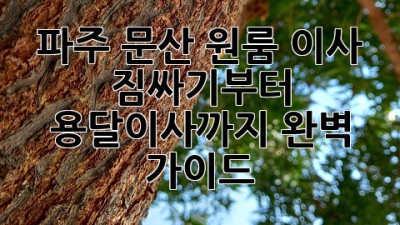 파주 문산 원룸 이사? 짐싸기부터 용달이사까지 완벽 가이드! 🎉